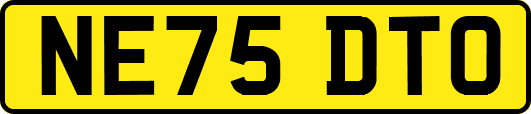 NE75DTO