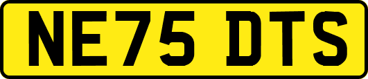 NE75DTS