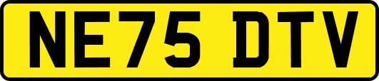 NE75DTV