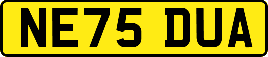 NE75DUA