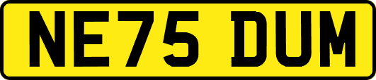 NE75DUM