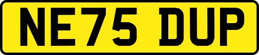 NE75DUP