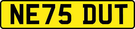 NE75DUT