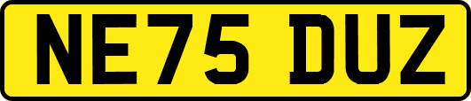 NE75DUZ