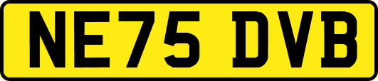 NE75DVB