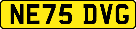 NE75DVG