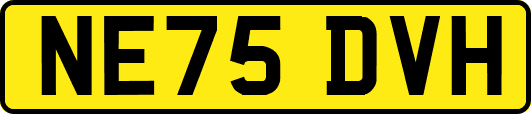NE75DVH