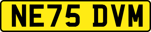 NE75DVM