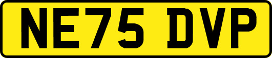 NE75DVP