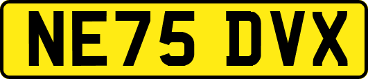 NE75DVX
