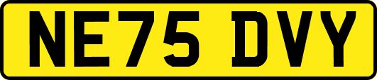 NE75DVY