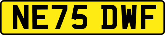 NE75DWF