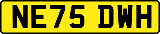 NE75DWH