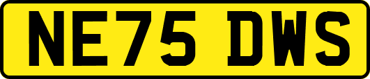 NE75DWS