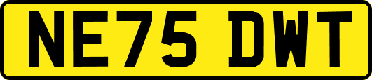 NE75DWT