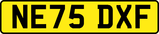 NE75DXF