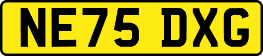 NE75DXG