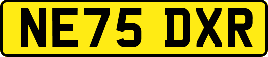 NE75DXR