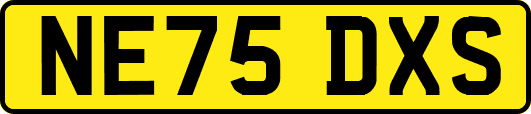 NE75DXS