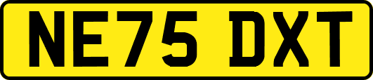 NE75DXT