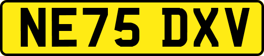 NE75DXV