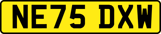 NE75DXW