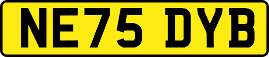 NE75DYB