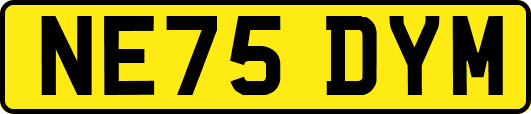 NE75DYM