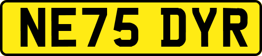 NE75DYR