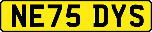 NE75DYS