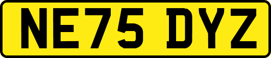 NE75DYZ