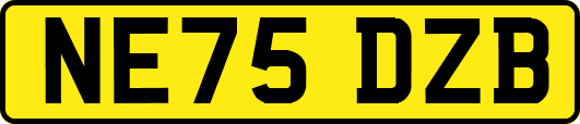 NE75DZB