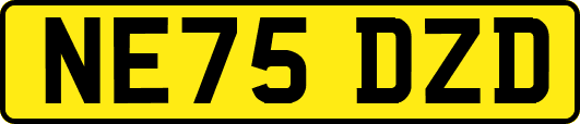 NE75DZD