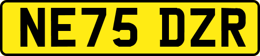 NE75DZR
