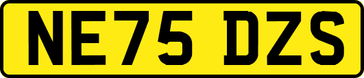NE75DZS