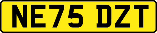 NE75DZT