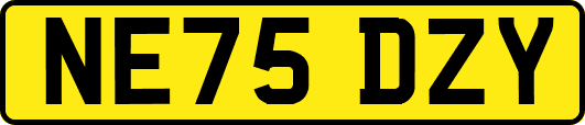 NE75DZY