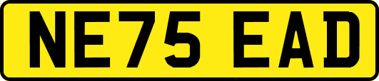 NE75EAD