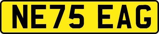 NE75EAG