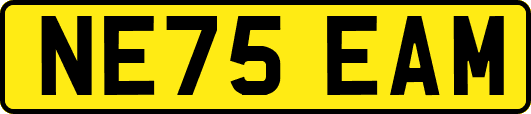 NE75EAM