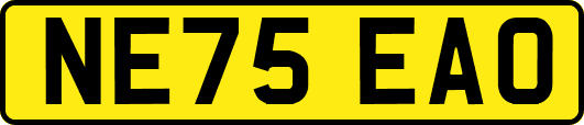 NE75EAO