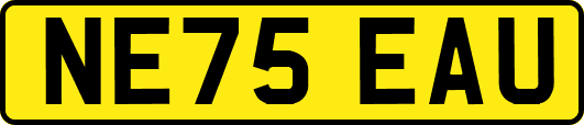 NE75EAU