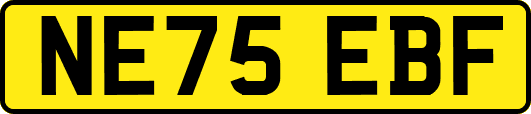 NE75EBF