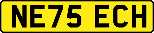 NE75ECH