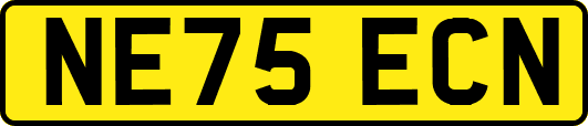 NE75ECN