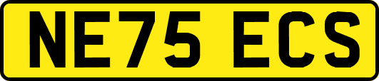 NE75ECS