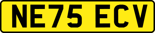 NE75ECV