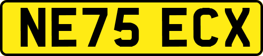 NE75ECX