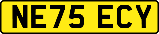 NE75ECY