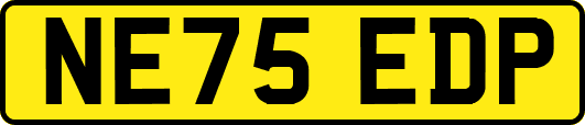 NE75EDP
